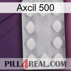 Axcil 500 16